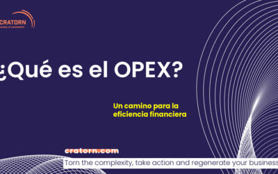 El OPEX, un camino para la eficiencia financiera